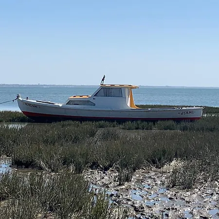 Cs Climatise Mobil-home 8 Personnes Avec Vayny Lège-Cap-Ferret